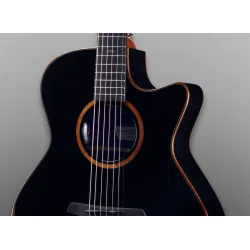 Furch Eclipse Anniversary Koa Gc-ER a